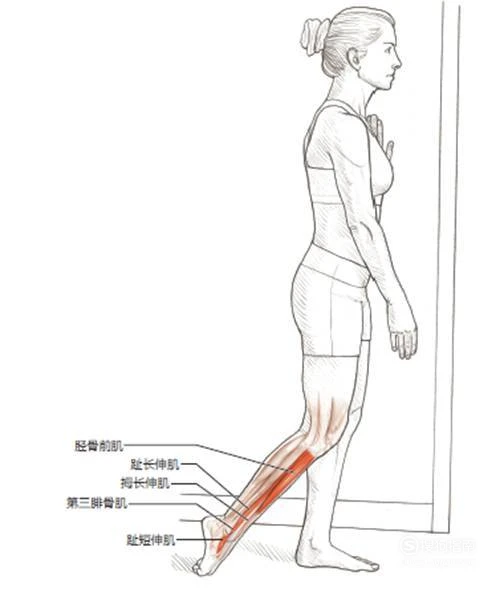 如何制定一个支持篮球训练发展的长期计划_2
