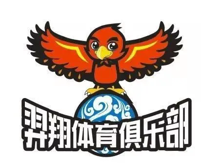 如何制定一个有效的篮球训练支持计划_2